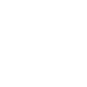 Bingo