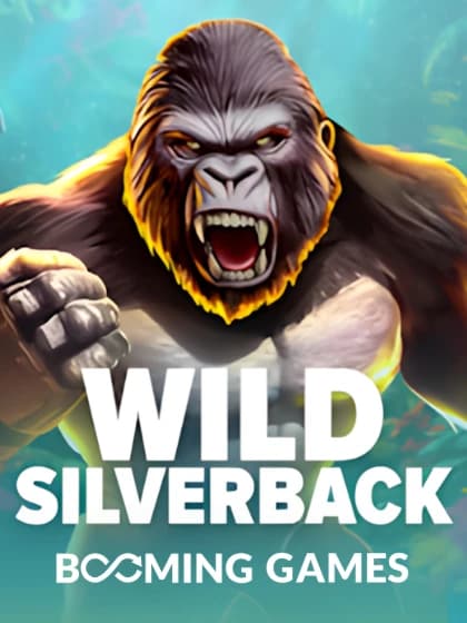 Wild Silverback